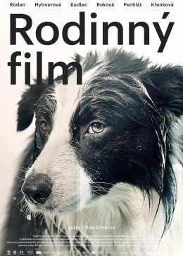 库宾一家人(大结局)