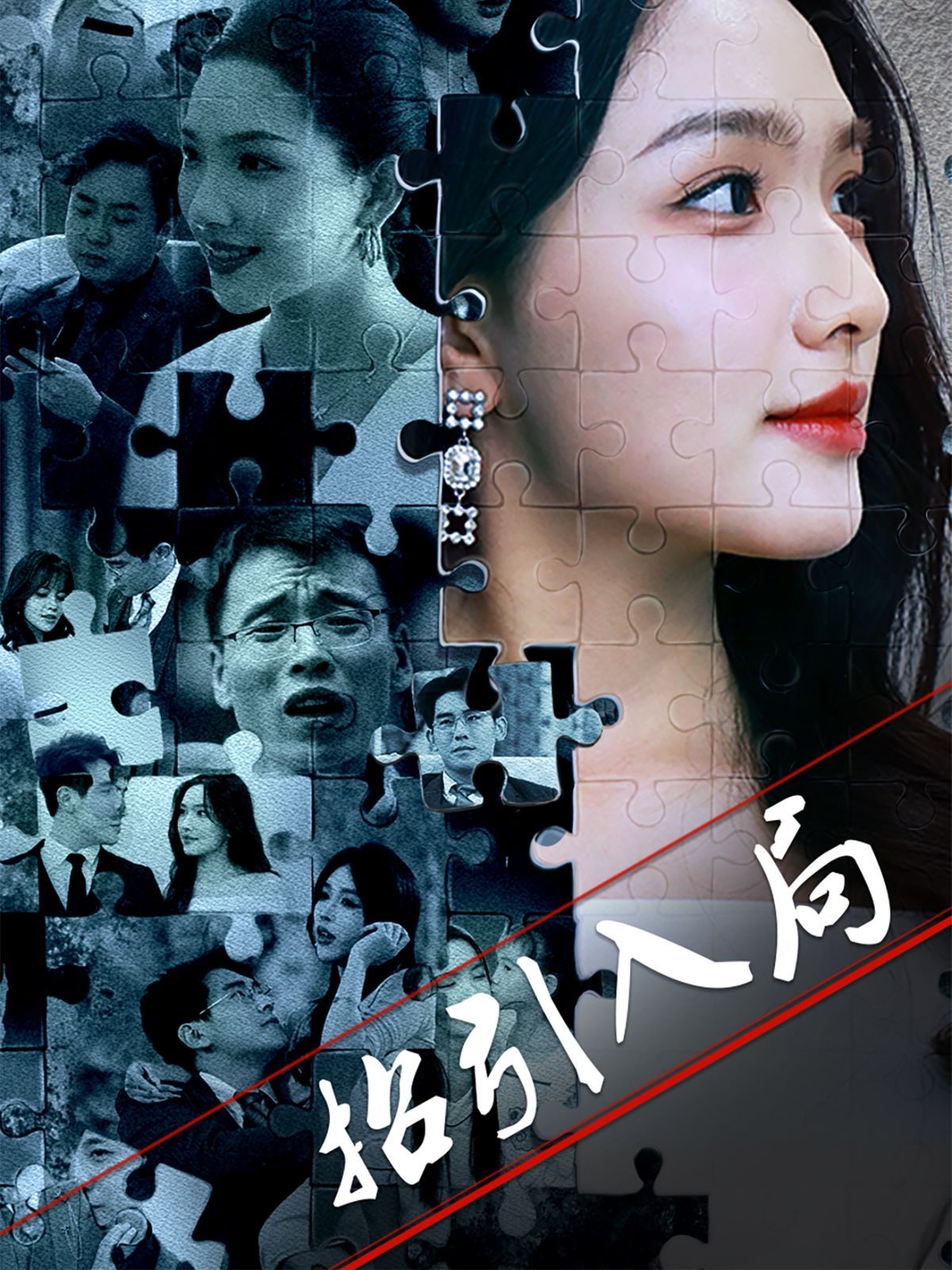 招引入局第31-60集完结(大结局)