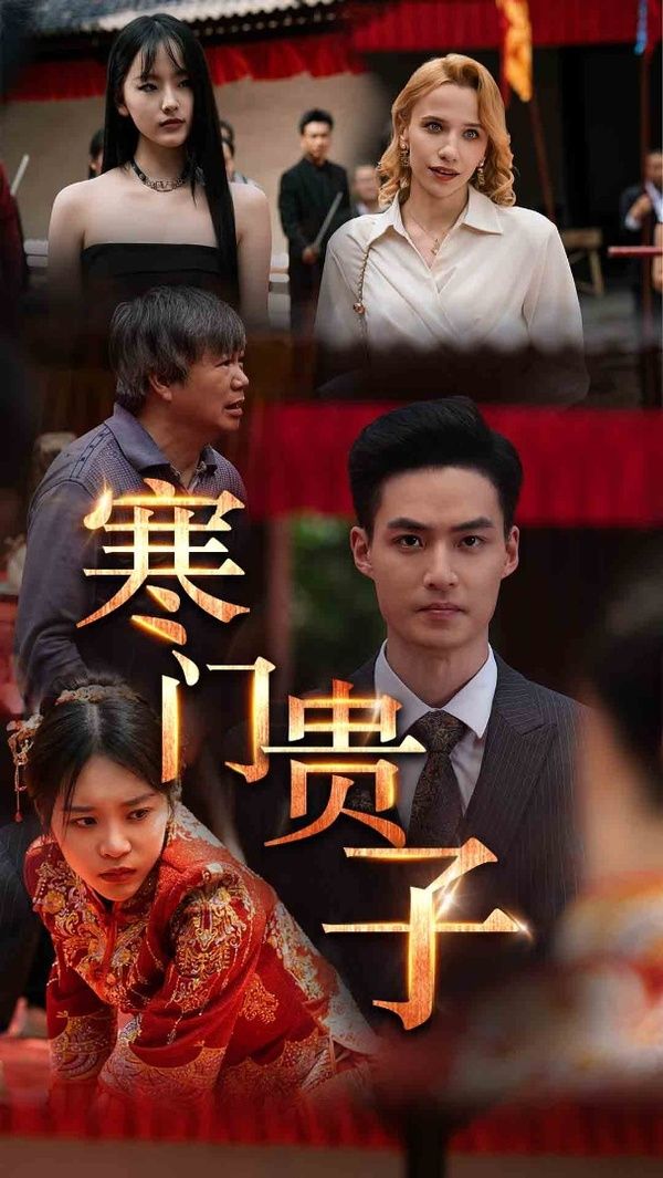 寒门贵子第21-40集