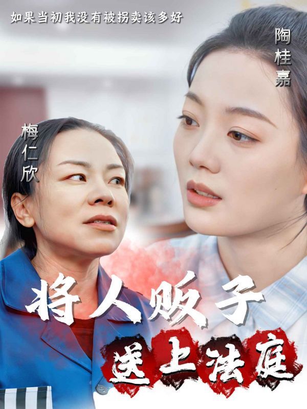 将人贩子送上法庭第01-30集(大结局)