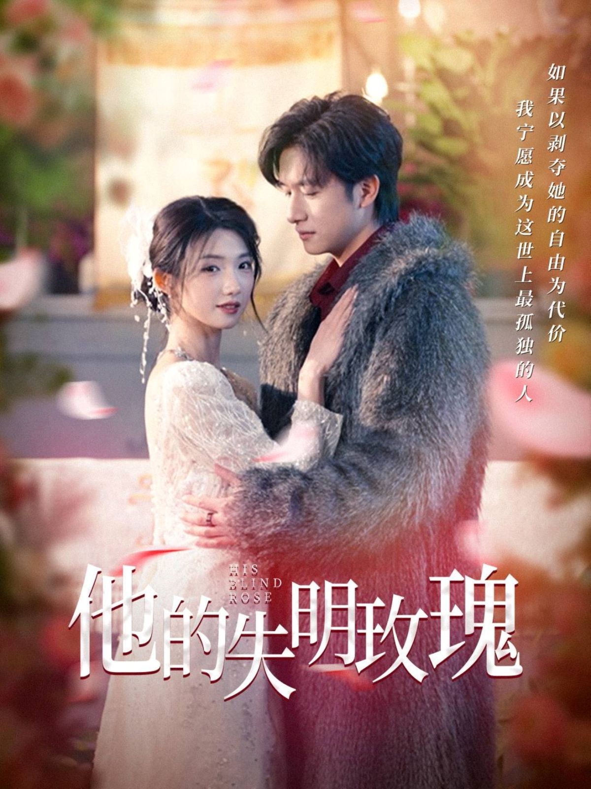 他的失明玫瑰第1-20集