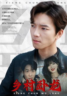 乡村卧龙第41-60集