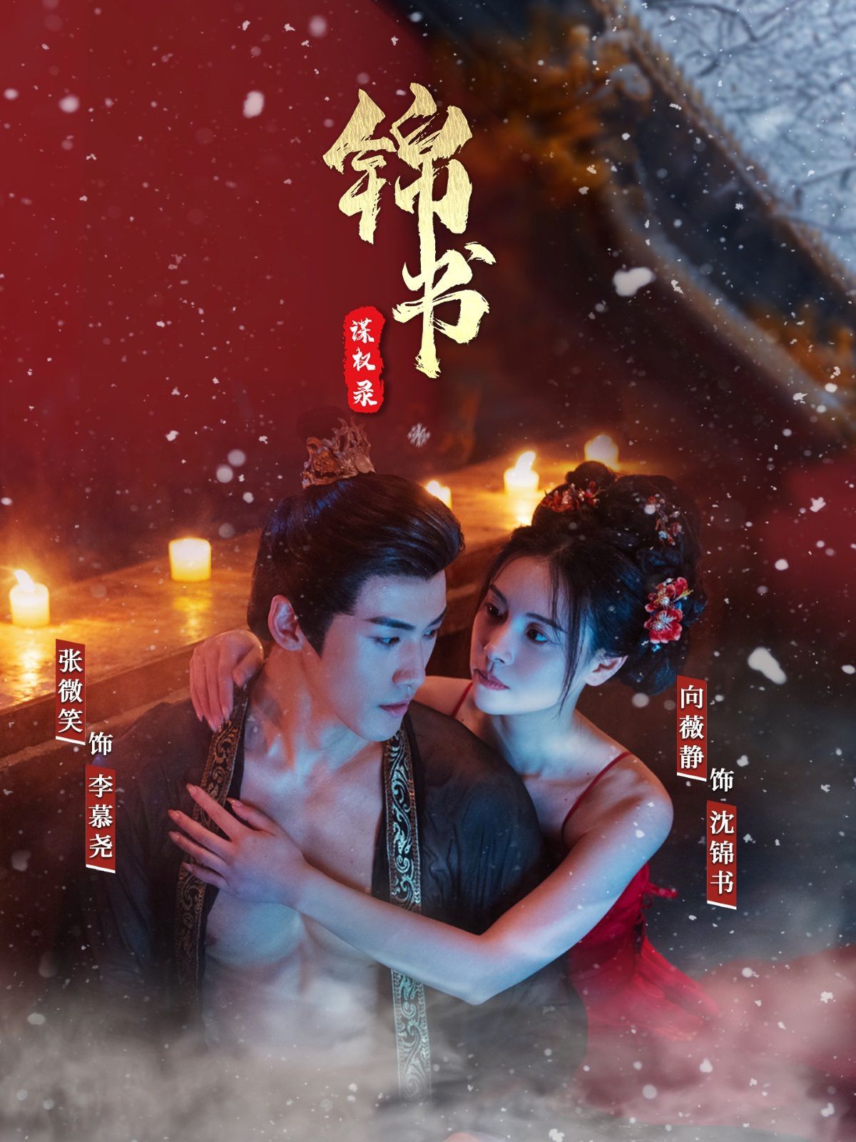 锦书谋权录第1-30集