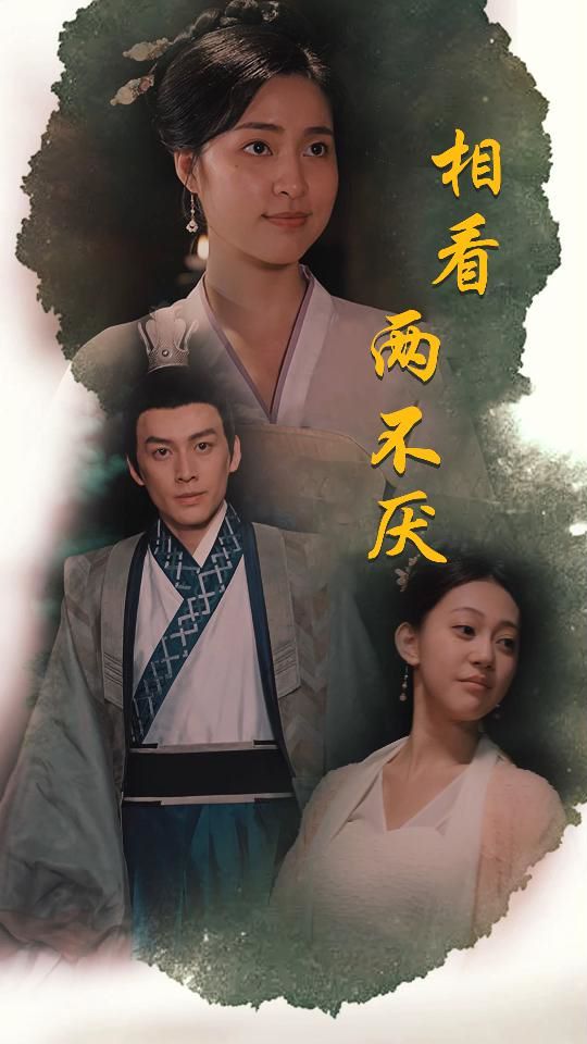 相看两不厌(这个王妃不好惹)第61-85集完结(大结局)