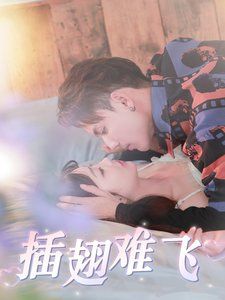 插翅难飞第01-30集(大结局)