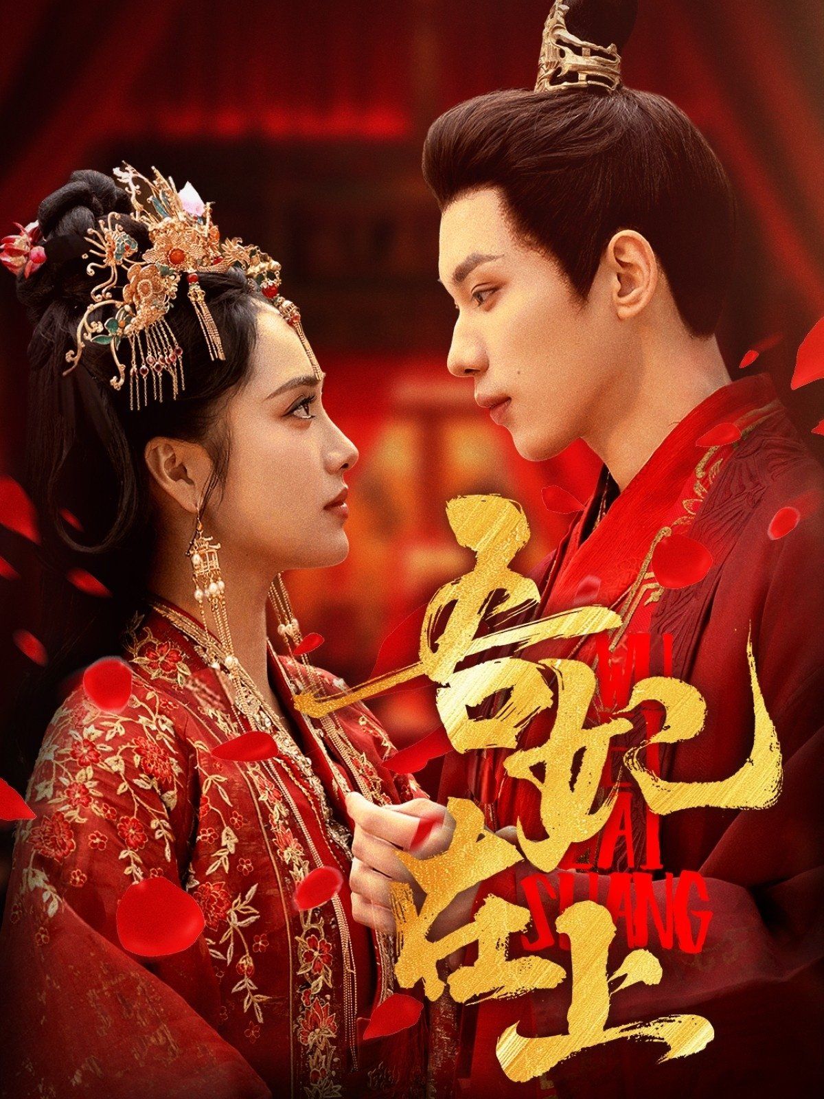 吾妃在上第1-20集