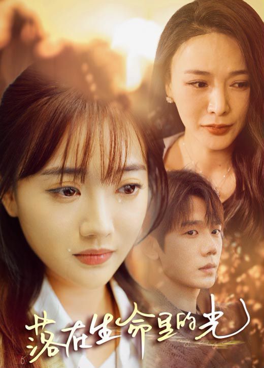 落在生命里的光第41-60集