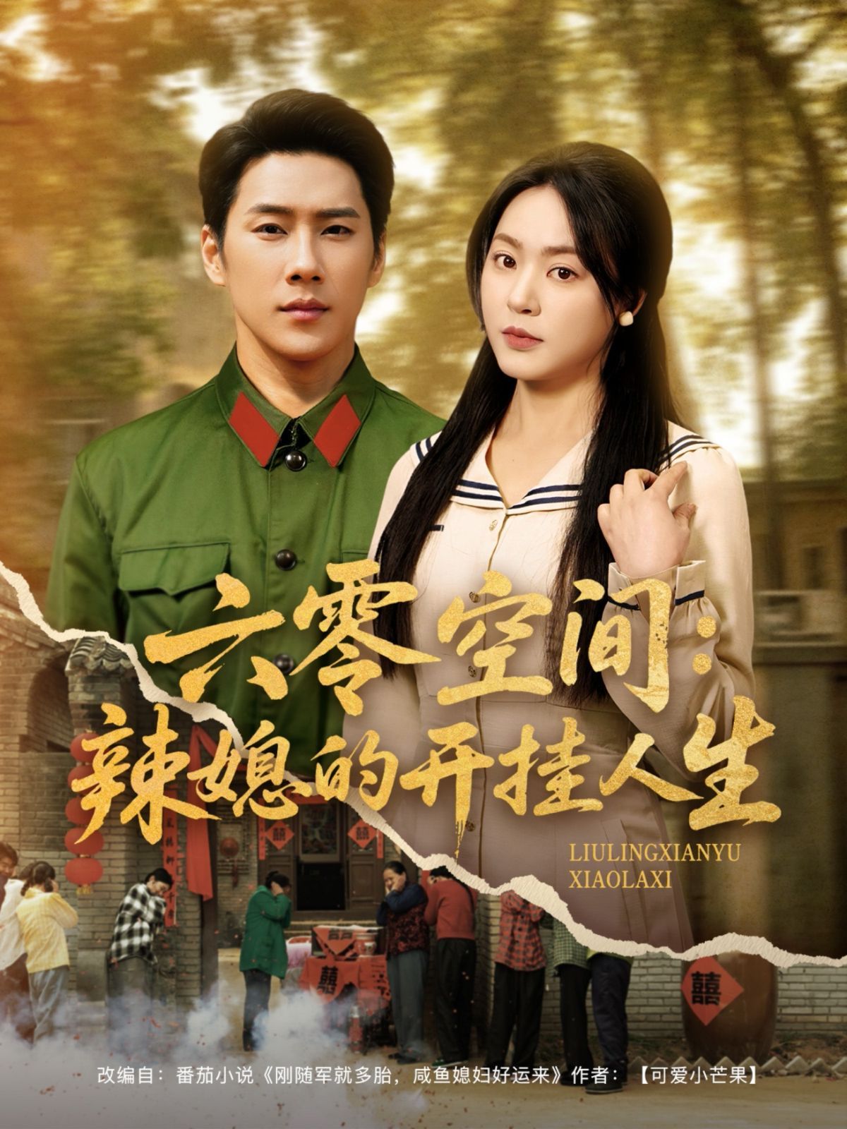 六零空间辣媳的开挂人生第1-20集