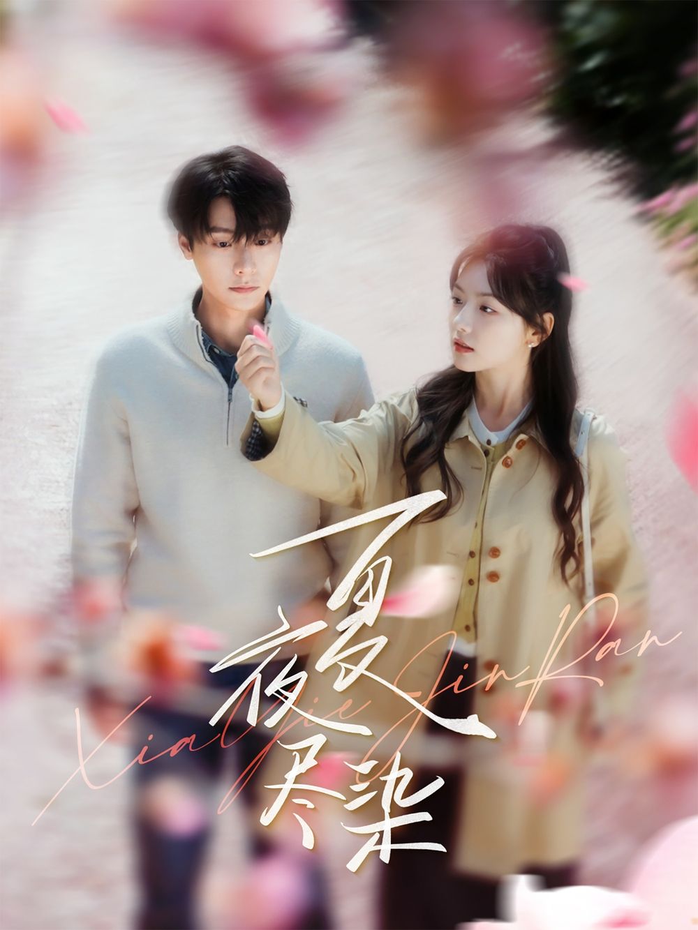 夏夜尽染第51-80集完结(大结局)