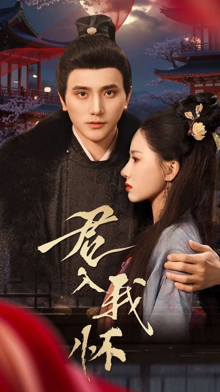 君入我怀第21-40集