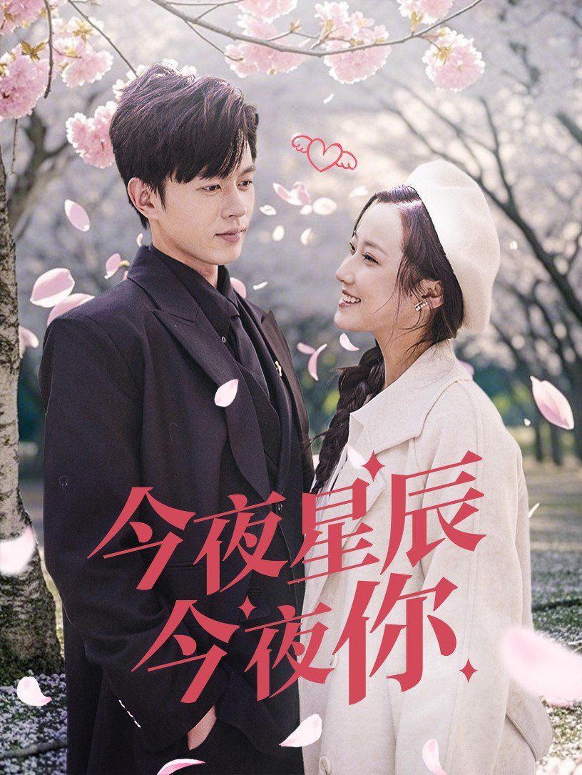 今夜星辰今夜你第31-60集