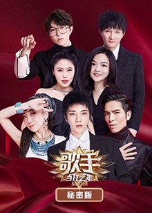 歌手 当打之年 秘密版第23期(大结局)