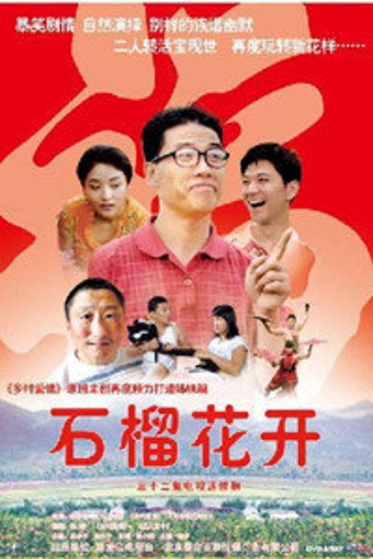 石榴花开第21集