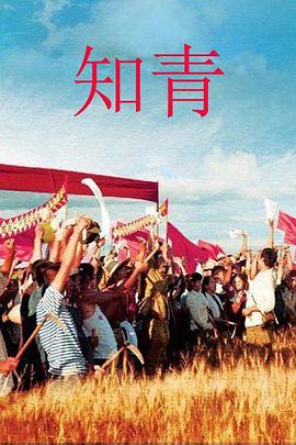 知青2012第24集