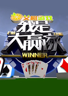 我是大赢家201620161128期