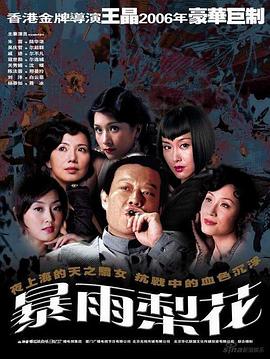 暴雨梨花第27集