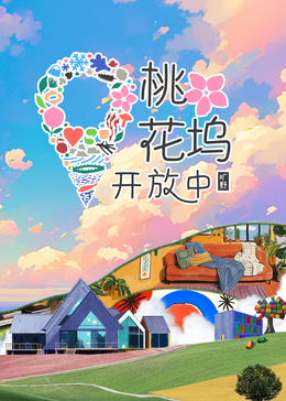 桃花坞开放中第三季第20241127期