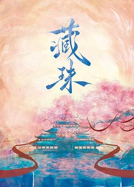 藏珠第21集