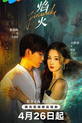 焰火第06集